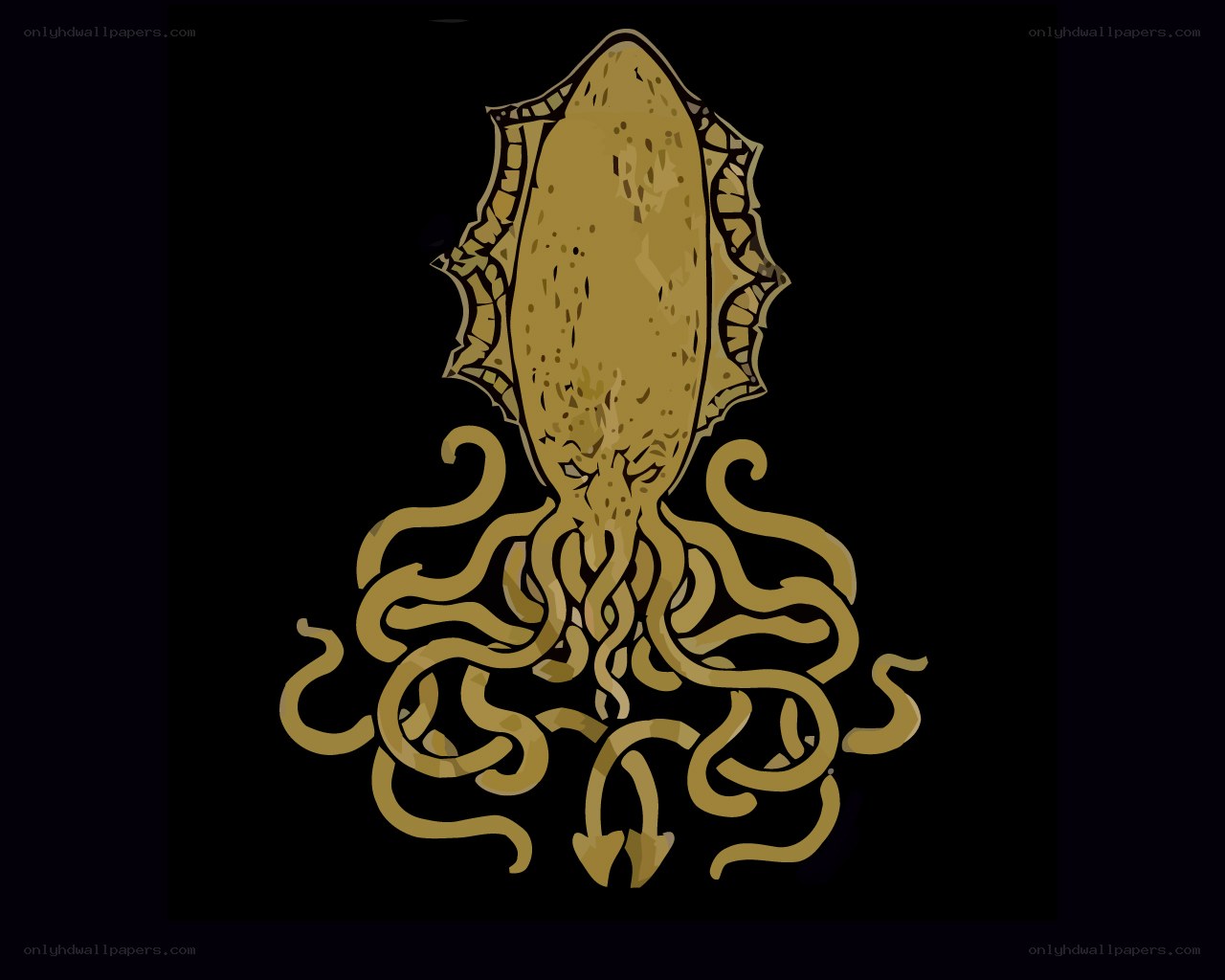 golden squid illustration