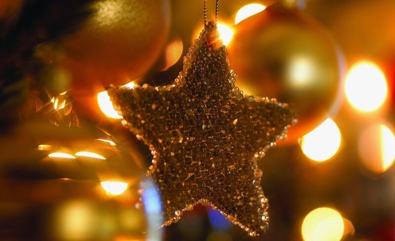 Golden star ornament on tree