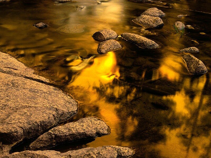 Golden stream with rocks