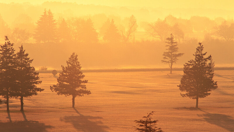 Golden sunrise over a misty field