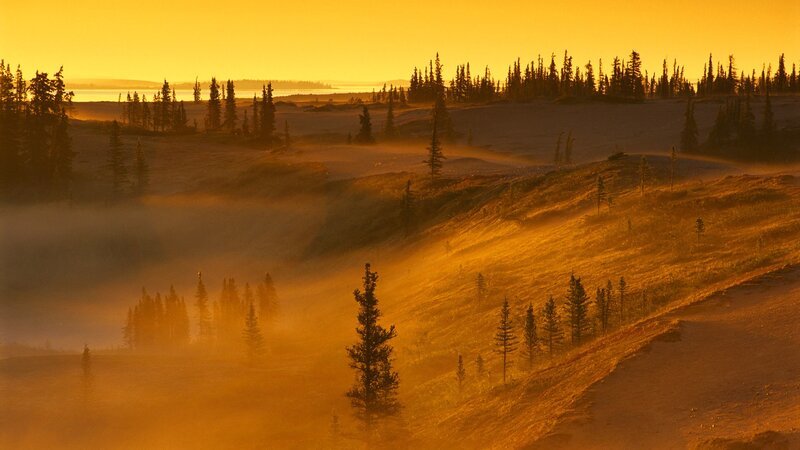 Golden sunrise over misty hills