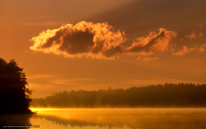 Golden sunrise over misty lake
