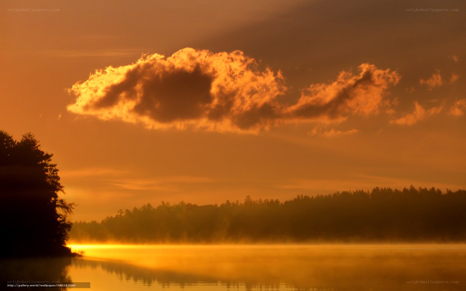 Golden sunrise over misty lake