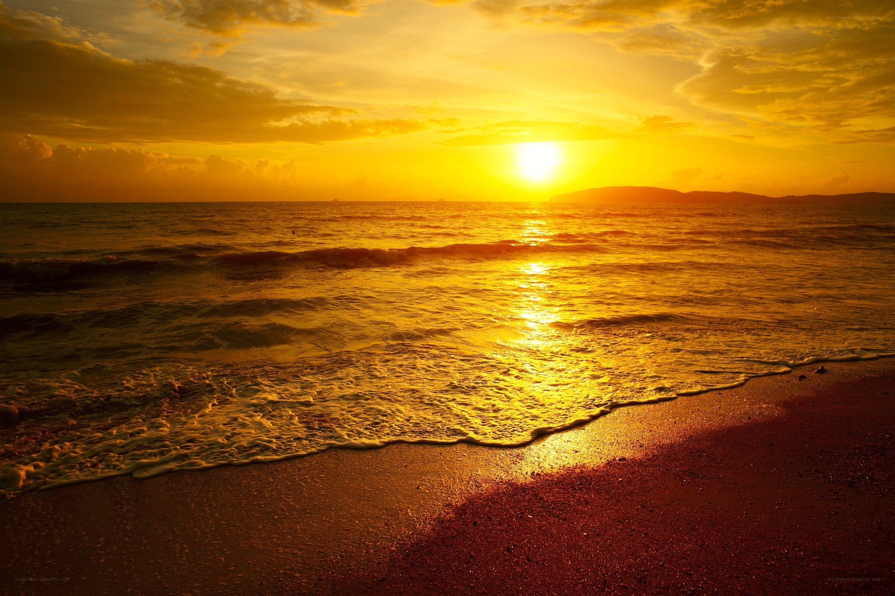 Golden sunset at the beach