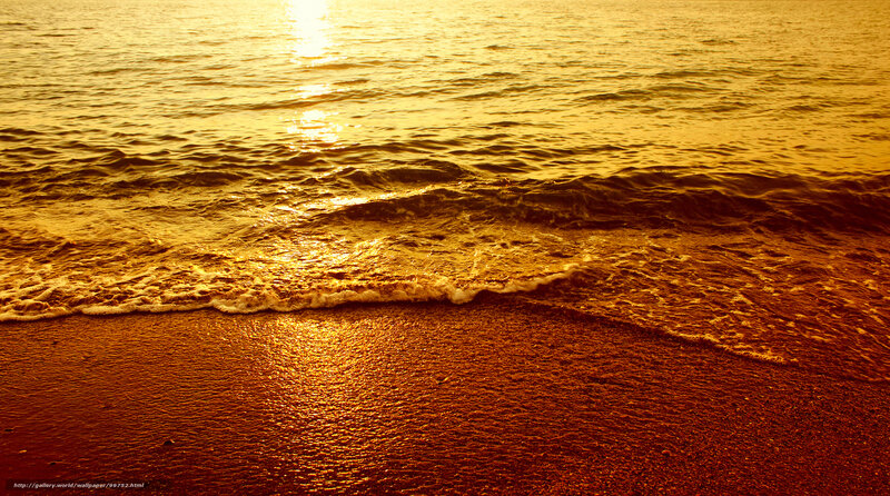 Golden sunset at the beach