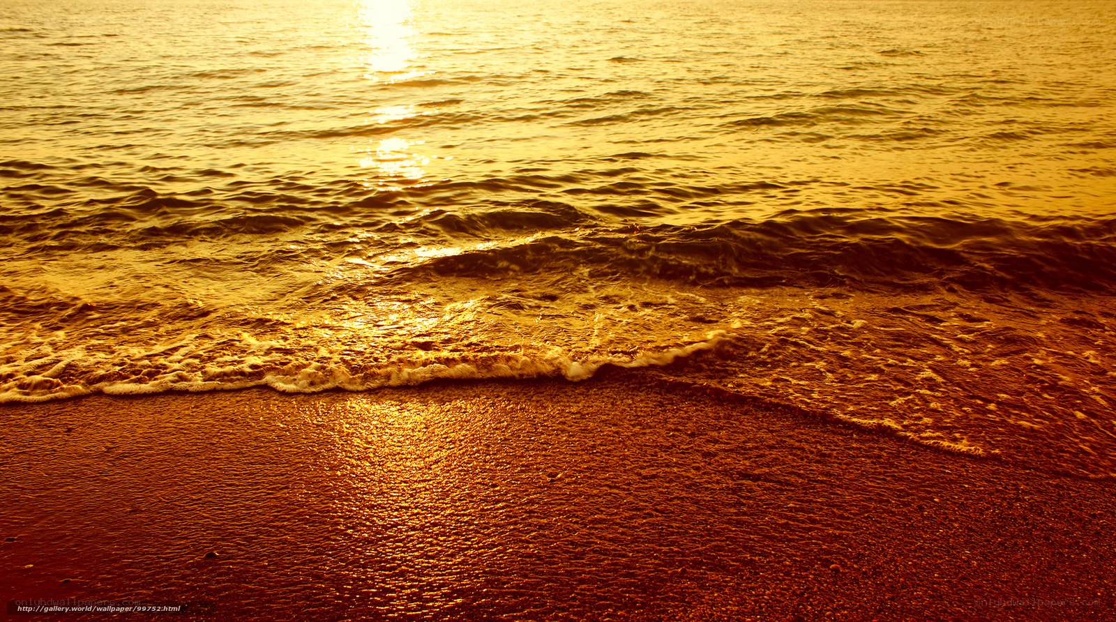Golden sunset at the beach