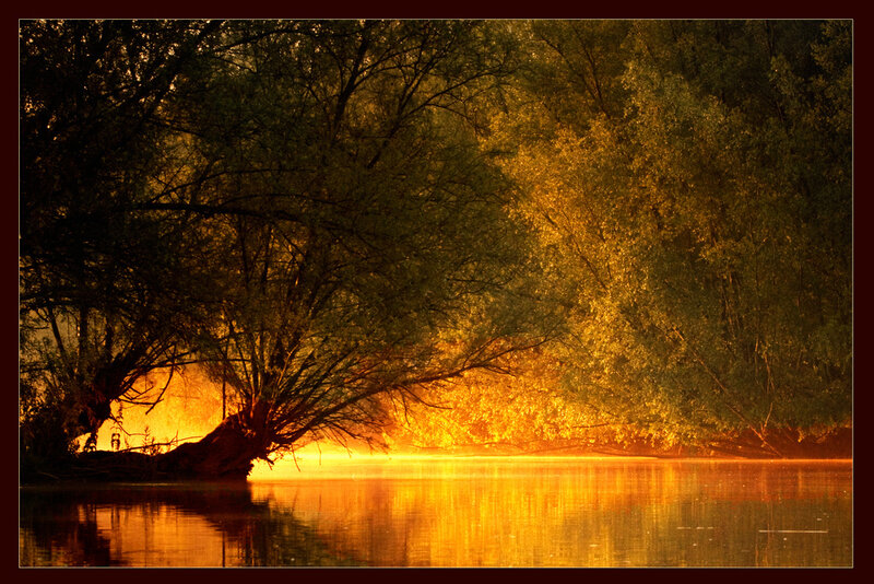 Golden sunset by the river