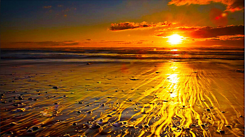 Golden sunset on the beach