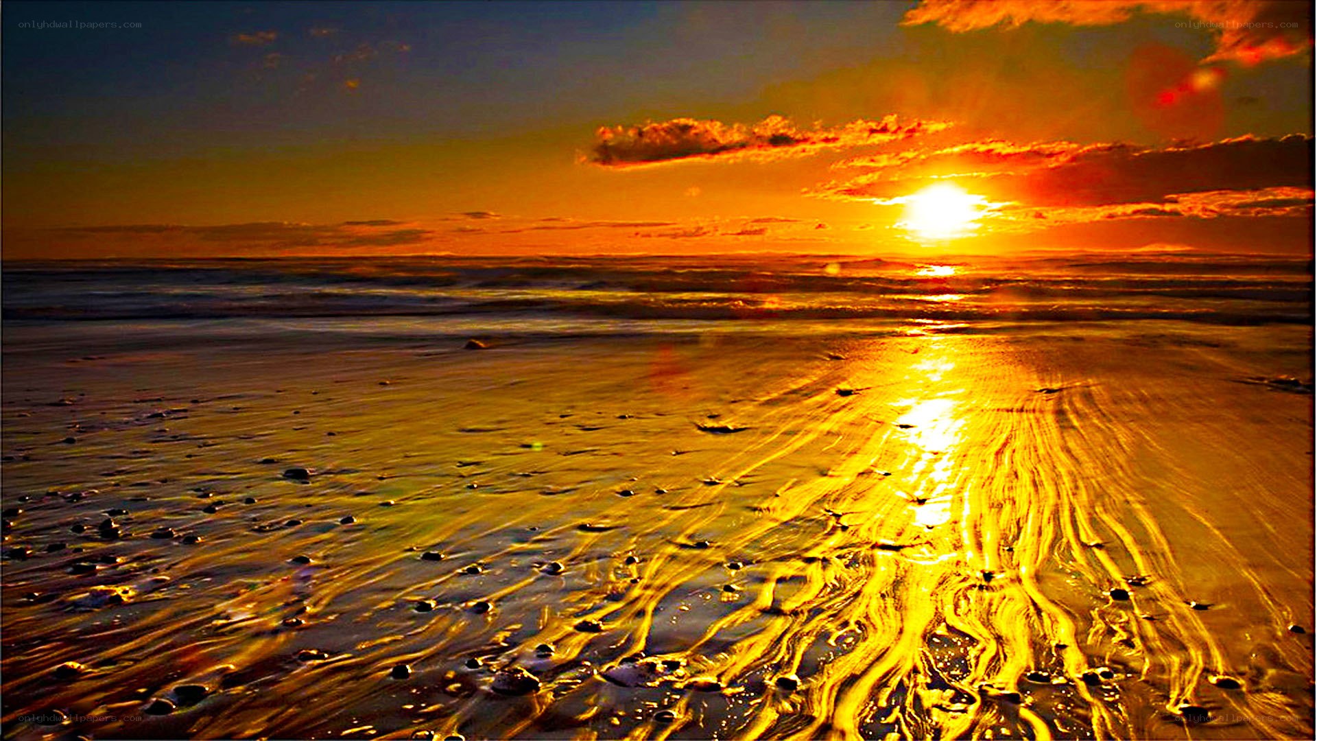 Golden sunset on the beach
