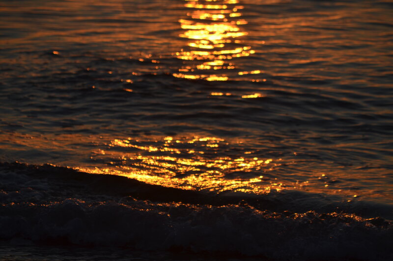 Golden Sunset on Water
