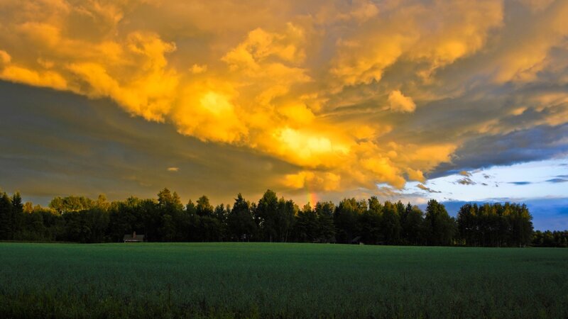 Golden sunset over a green field