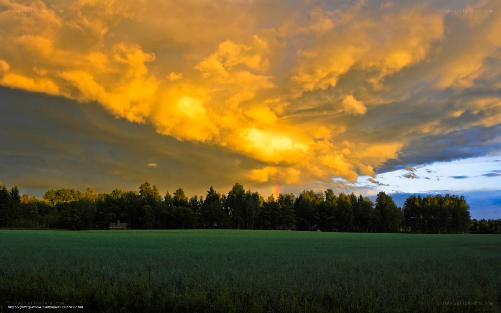 Golden sunset over a green field