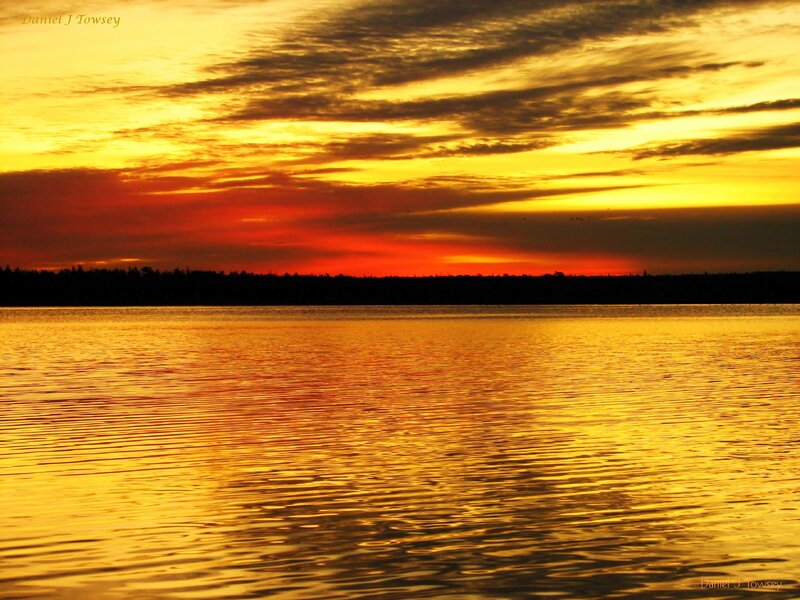 Golden sunset over calm water