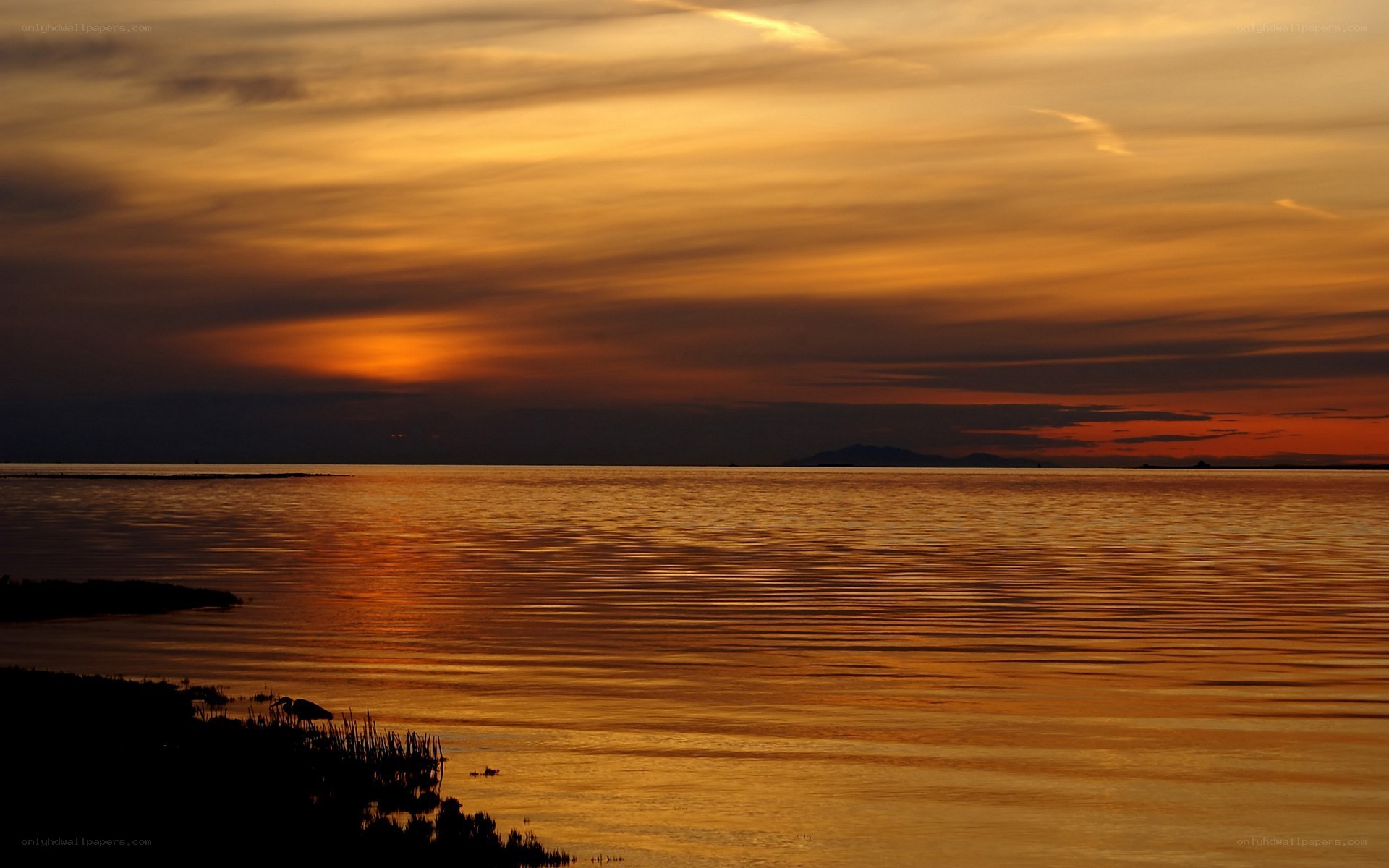 Golden sunset over calm water