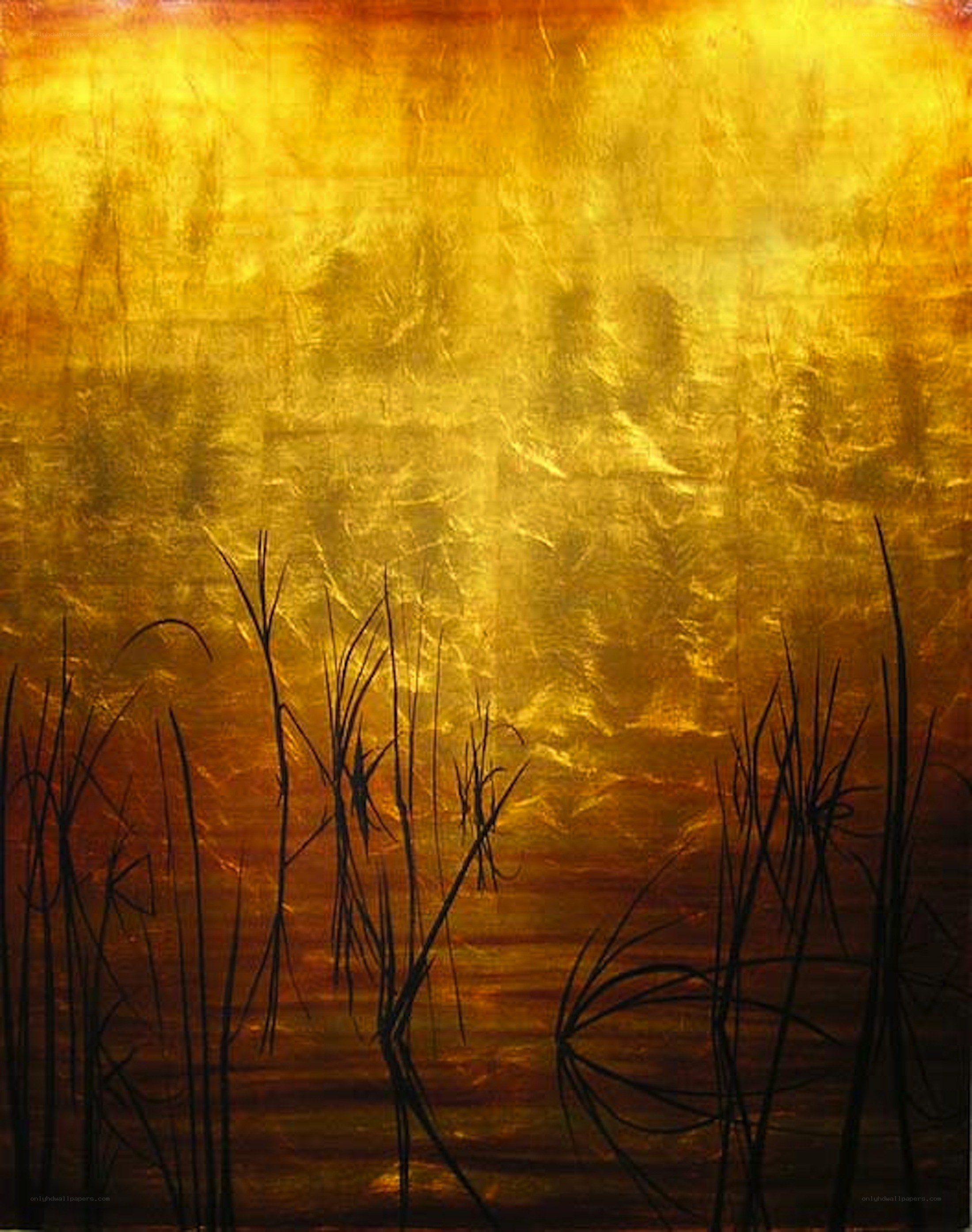 Golden sunset over reeds