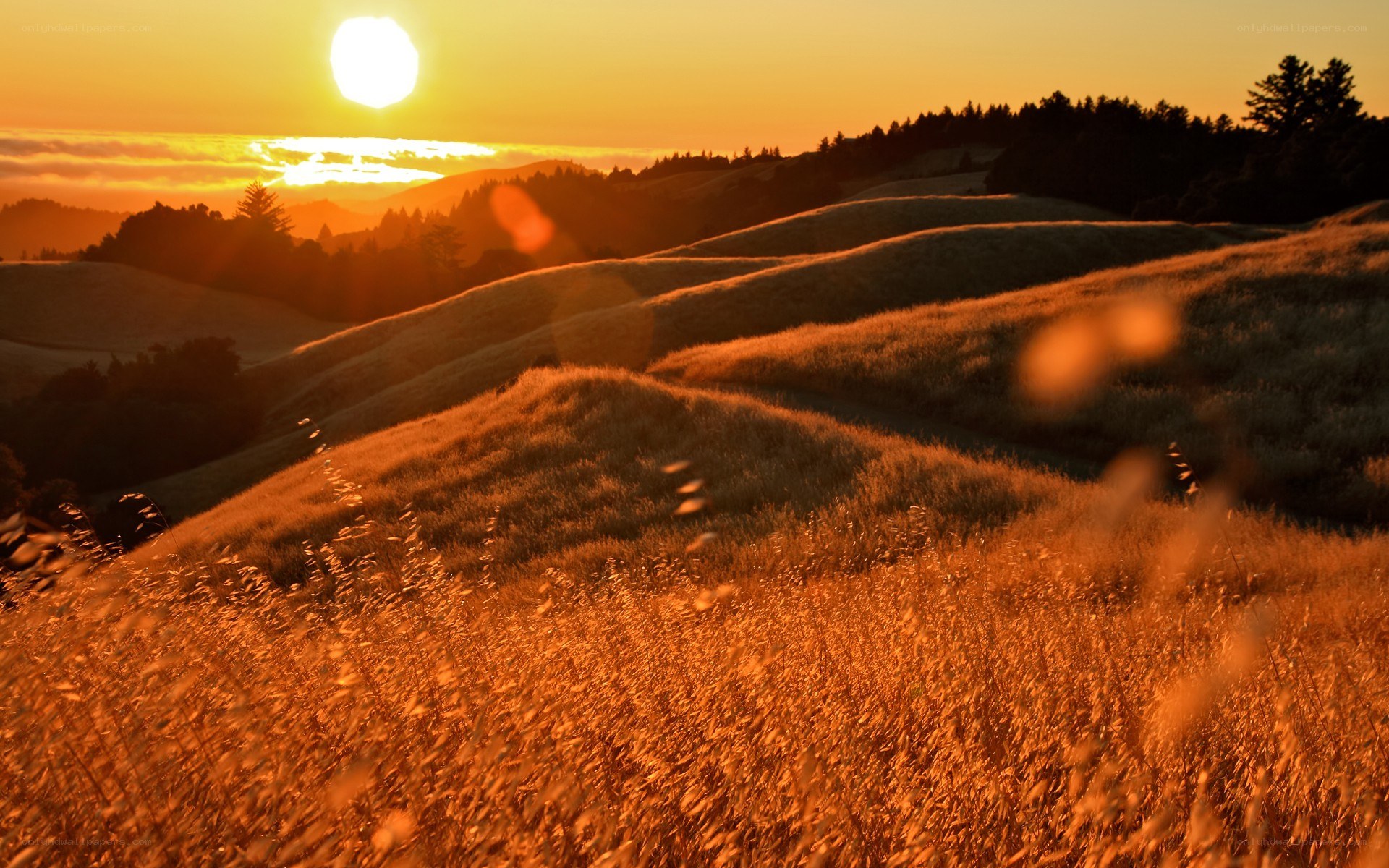 Golden sunset over rolling hills