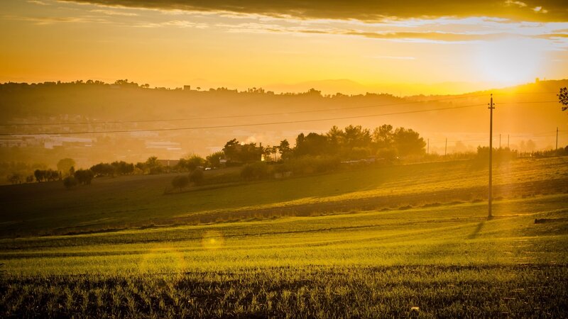Golden sunset over rolling hills