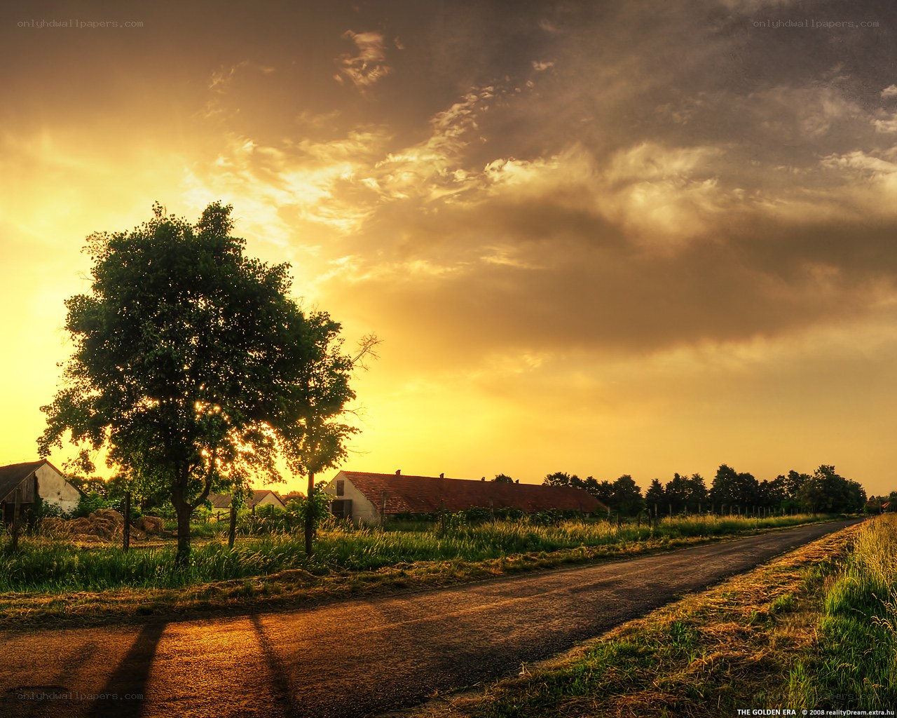 Golden sunset over rural road