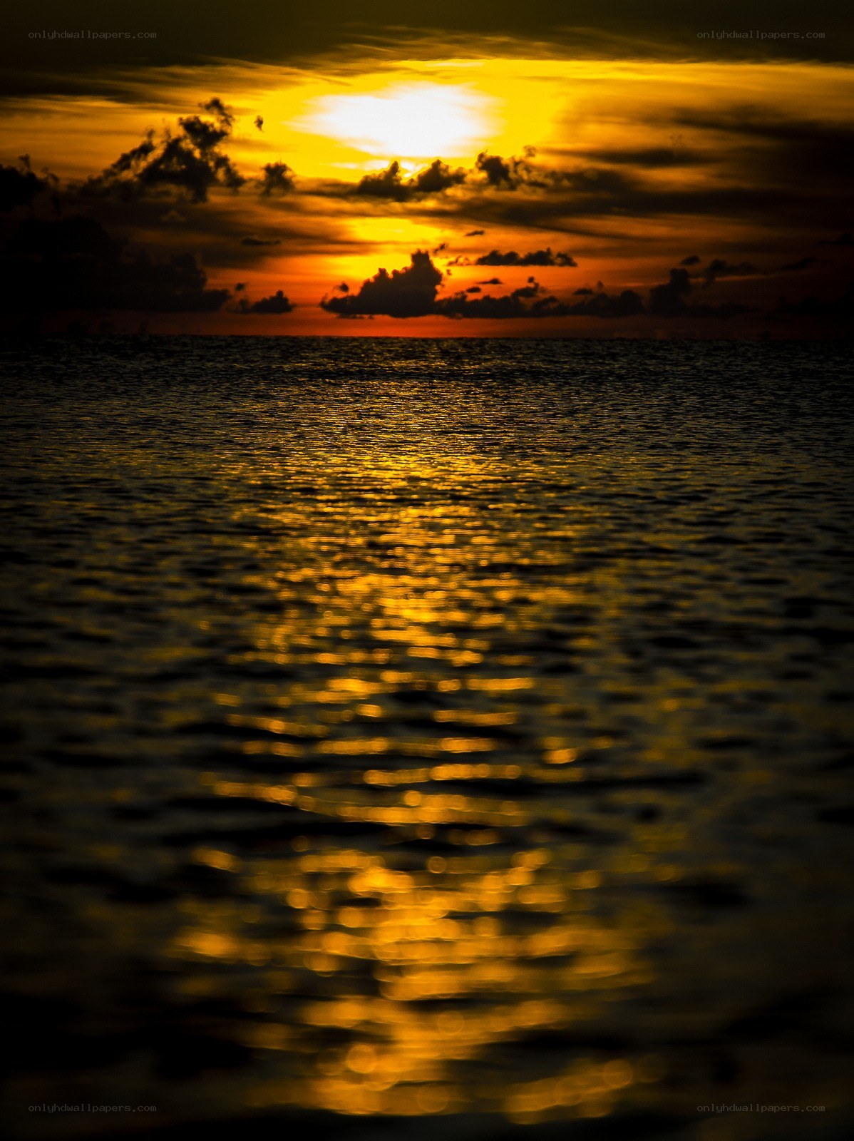 Golden sunset over the ocean