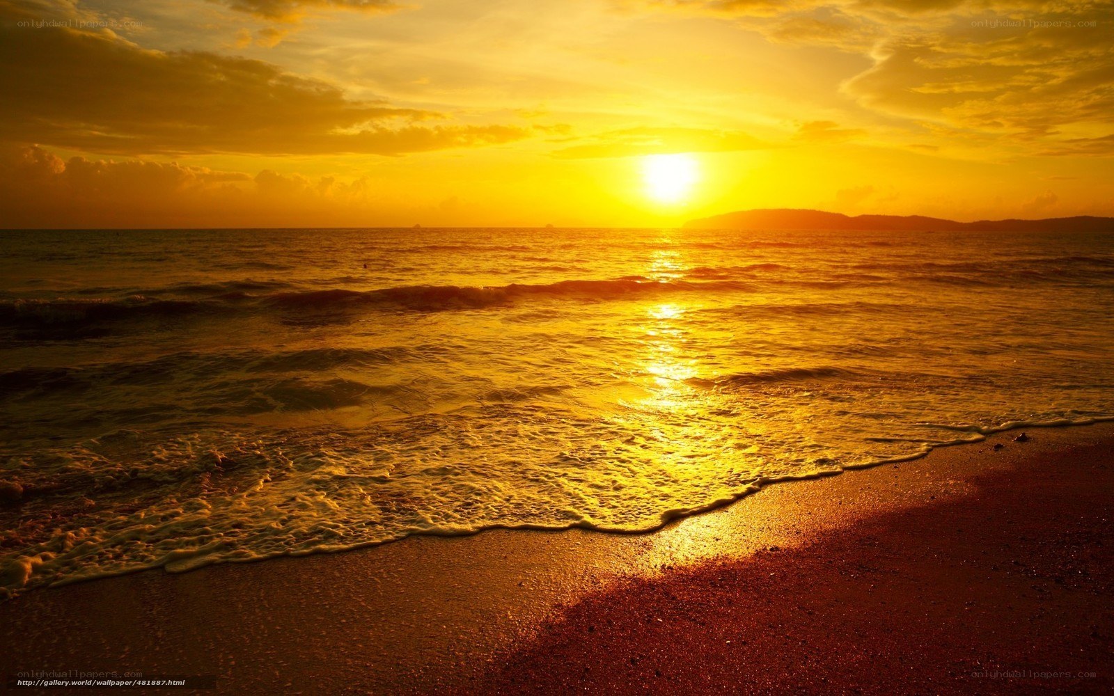 Golden sunset over the ocean