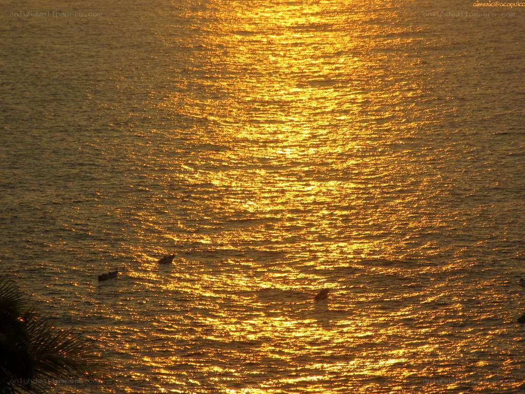 golden sunset over the sea