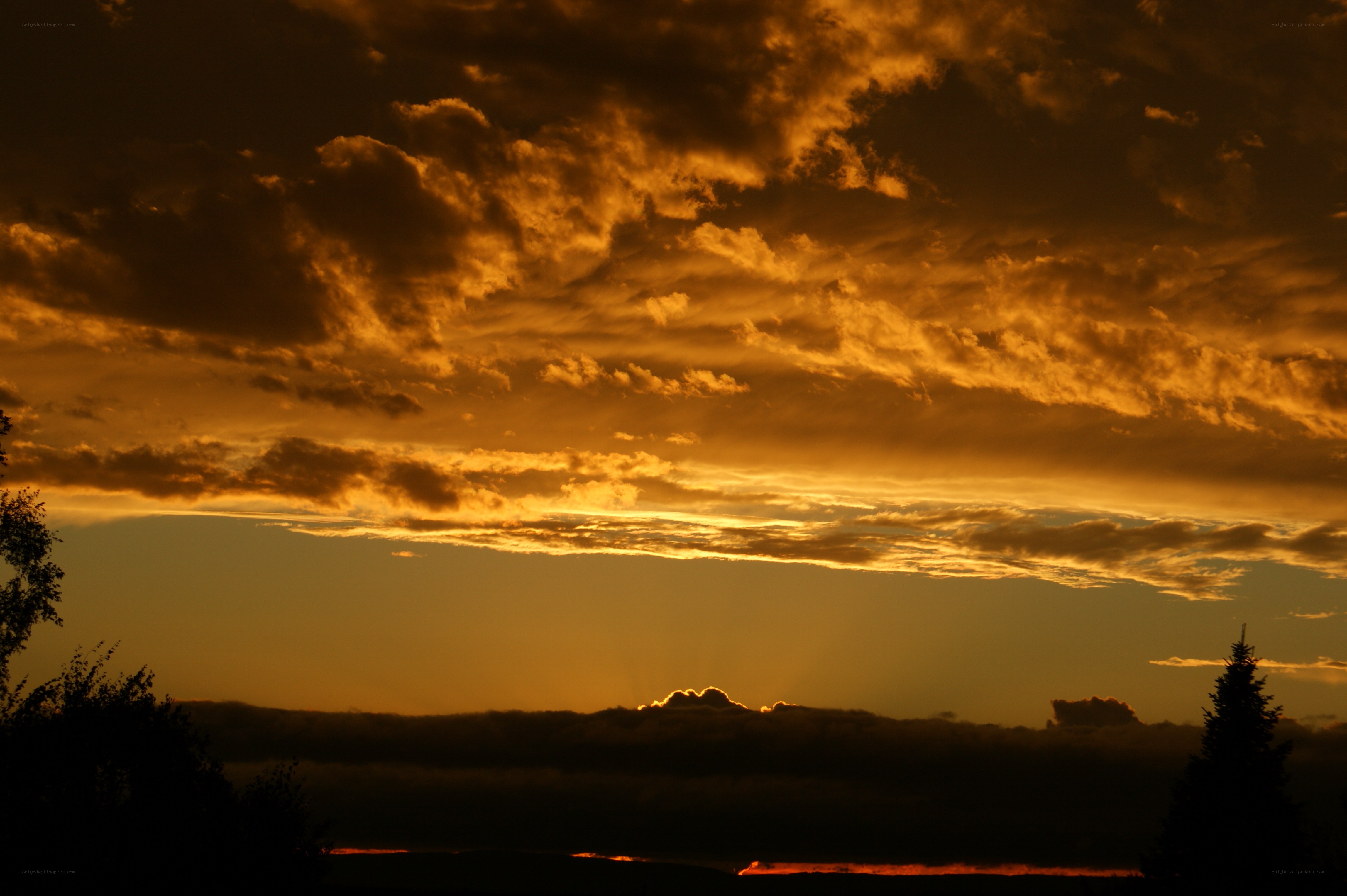 Golden sunset sky