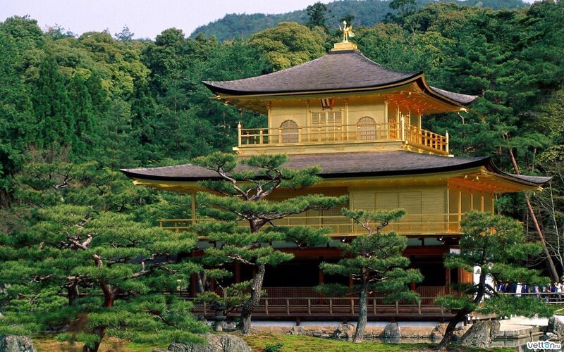 Golden Temple Building — Gold, Serene, Afternoon, Photograph