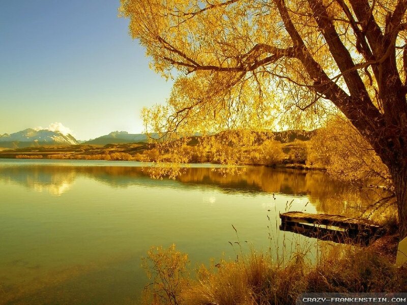 Golden Tree by Lake — Gold
