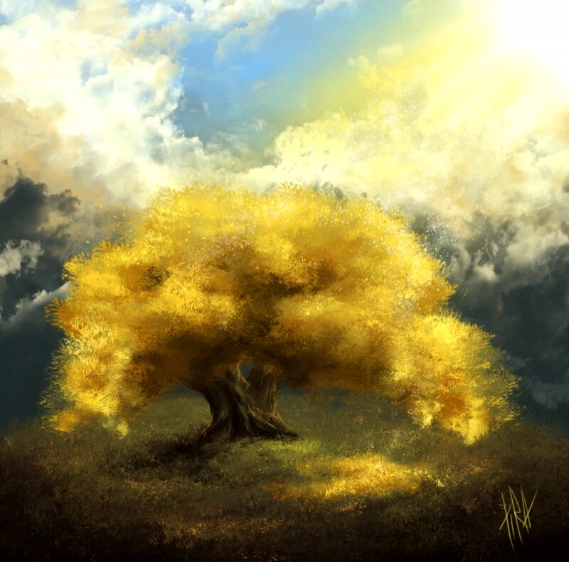 Golden Tree in Field