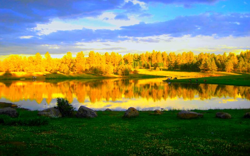 Golden Trees by Lake