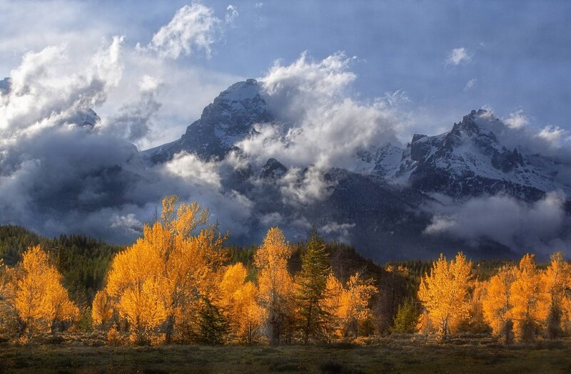 Golden Trees in Mountain Valley