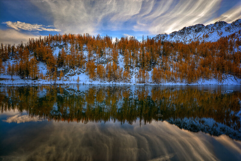 Golden Trees on Snowy Hill