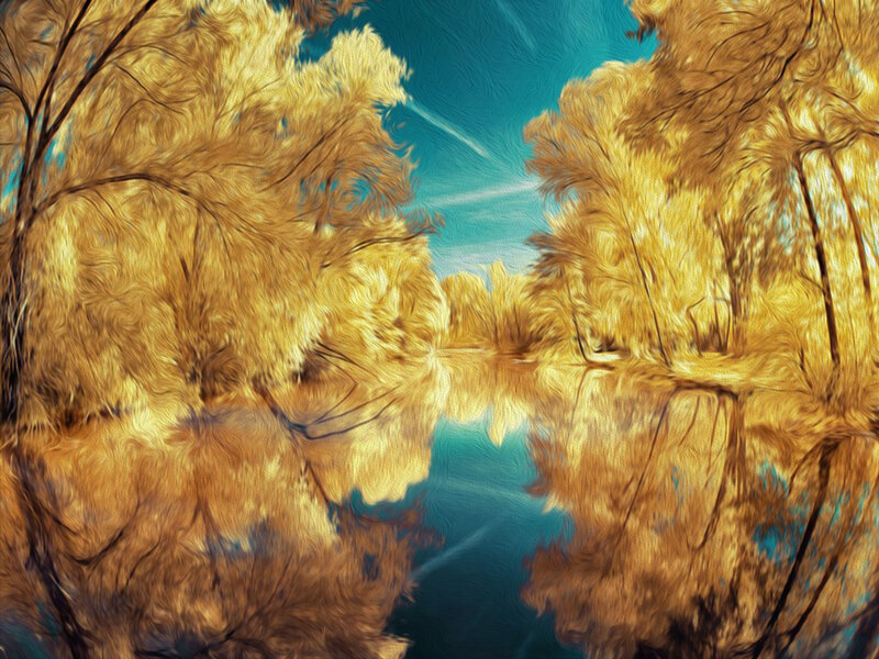 Golden Trees Reflection
