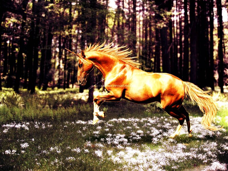 Golden Unicorn Horse