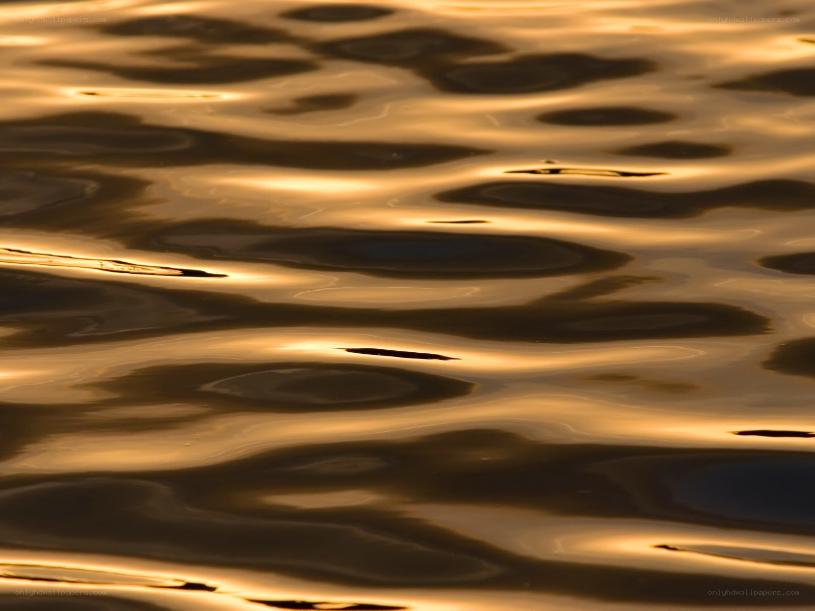 golden water ripples
