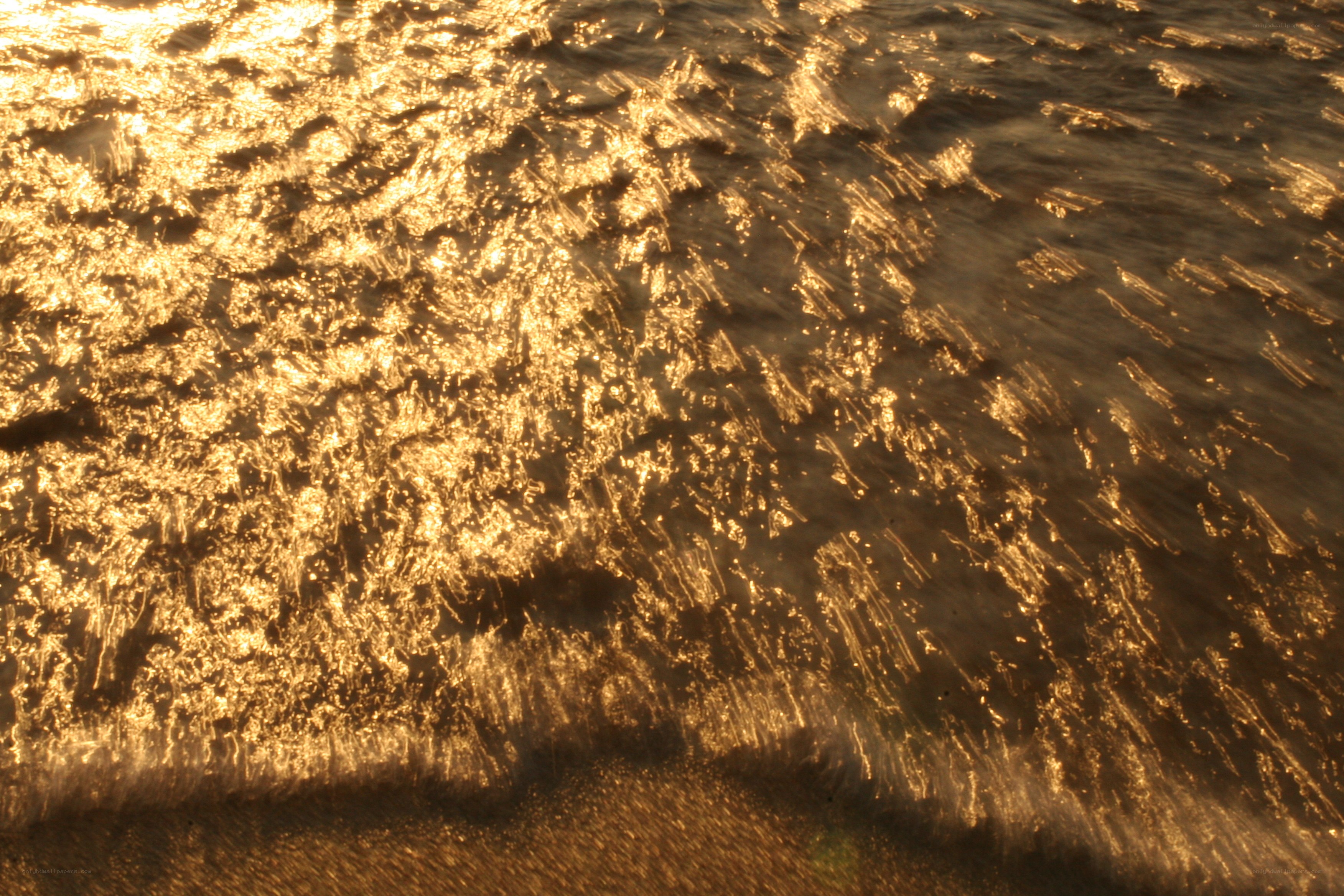 golden water surface at sunset