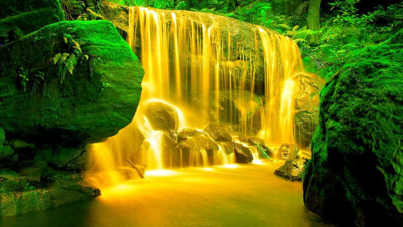 Golden Waterfall in Forest