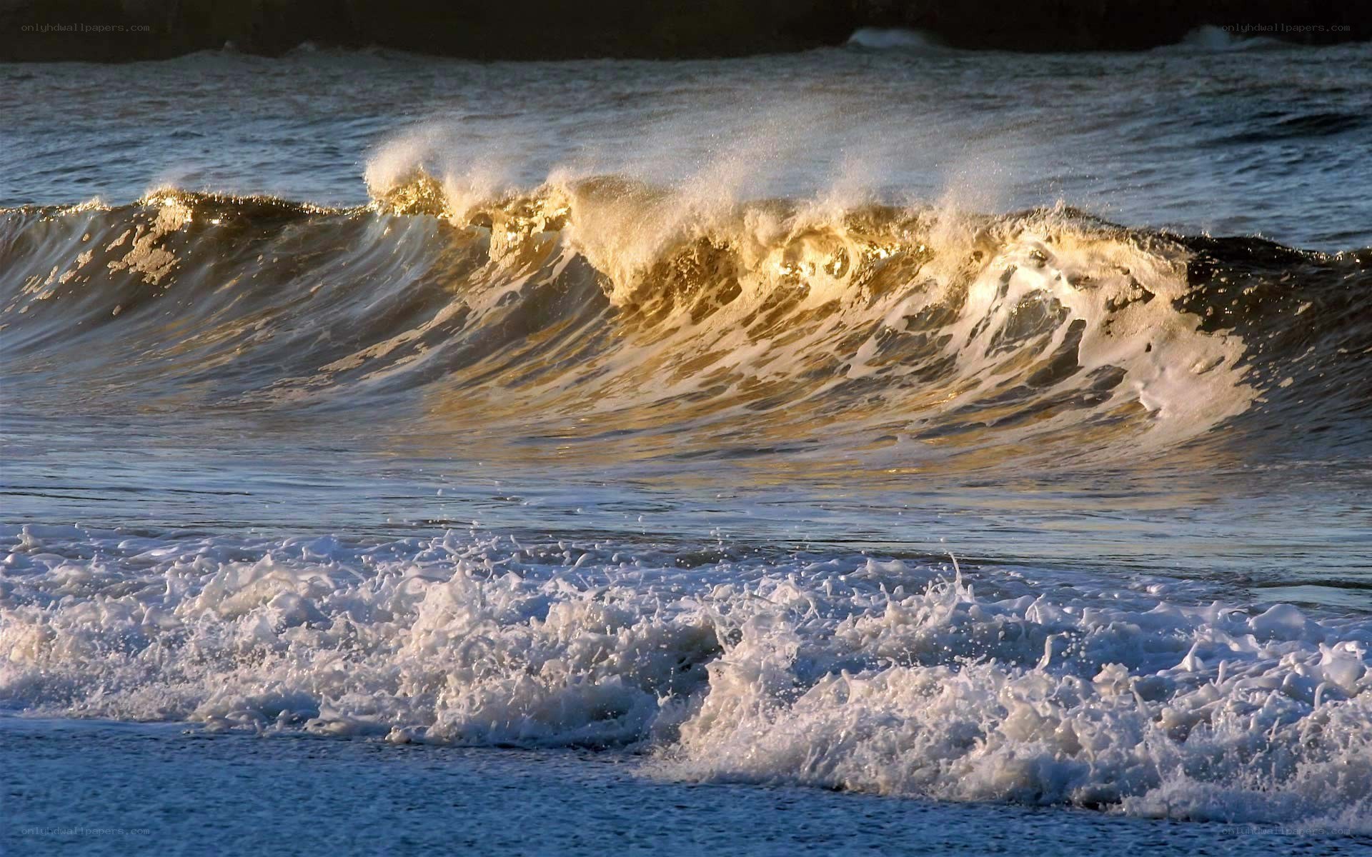 golden wave at sunset