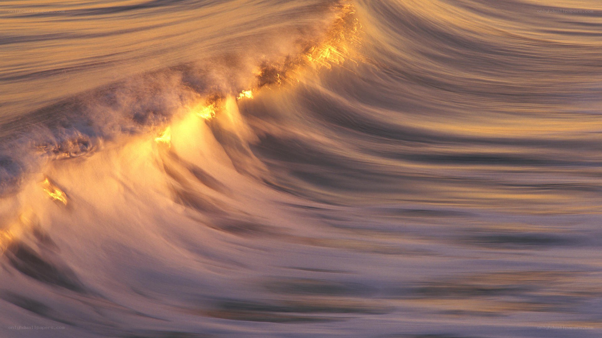 golden wave at sunset