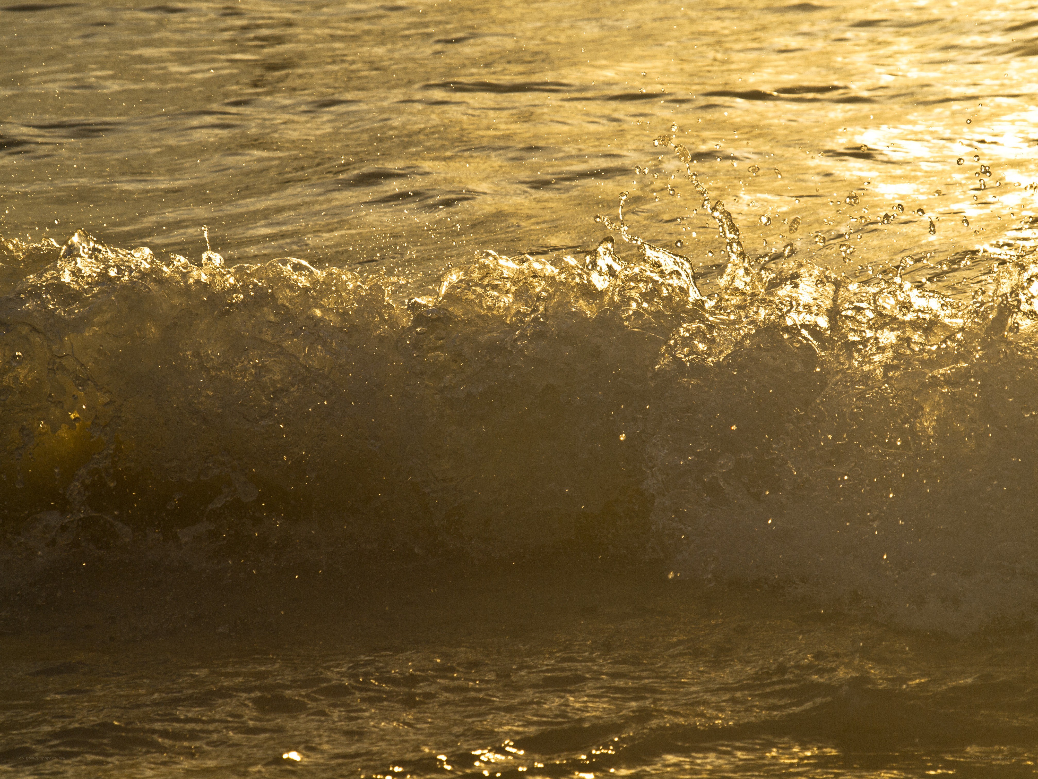 golden wave at sunset