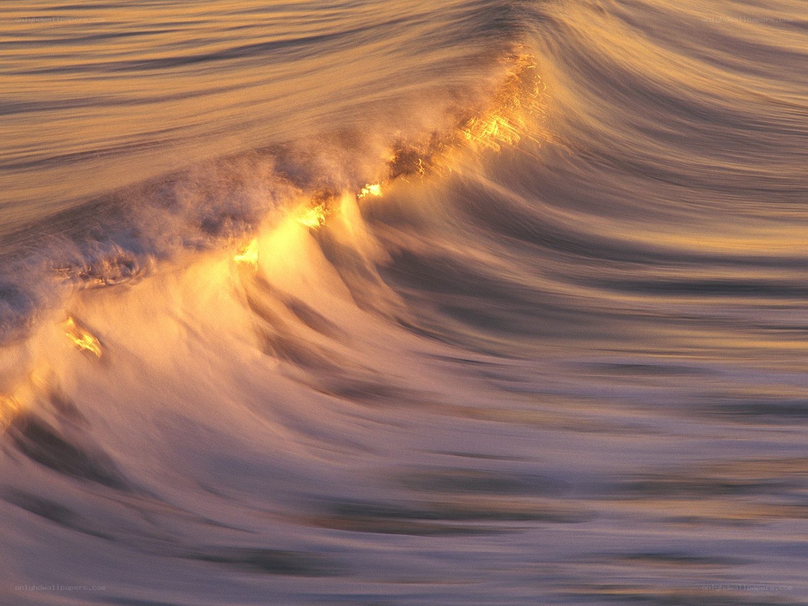 golden wave at sunset