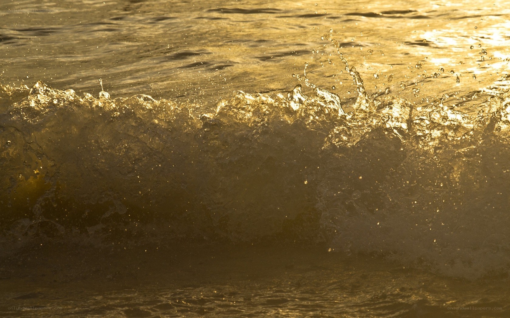 golden wave at sunset