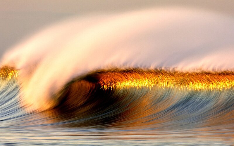 Golden wave at sunset