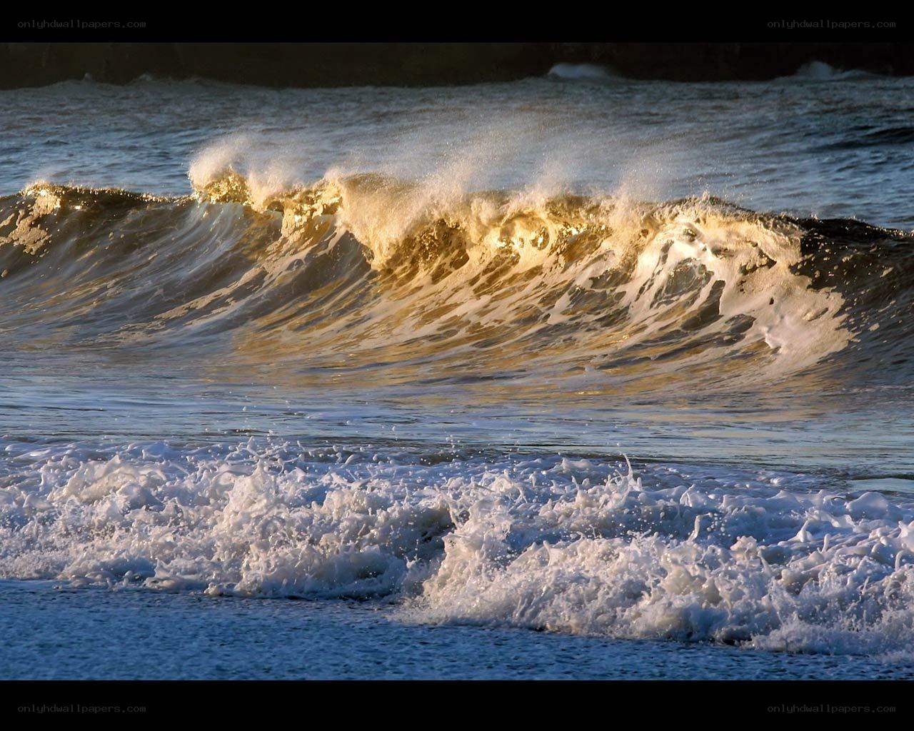 golden wave at sunset