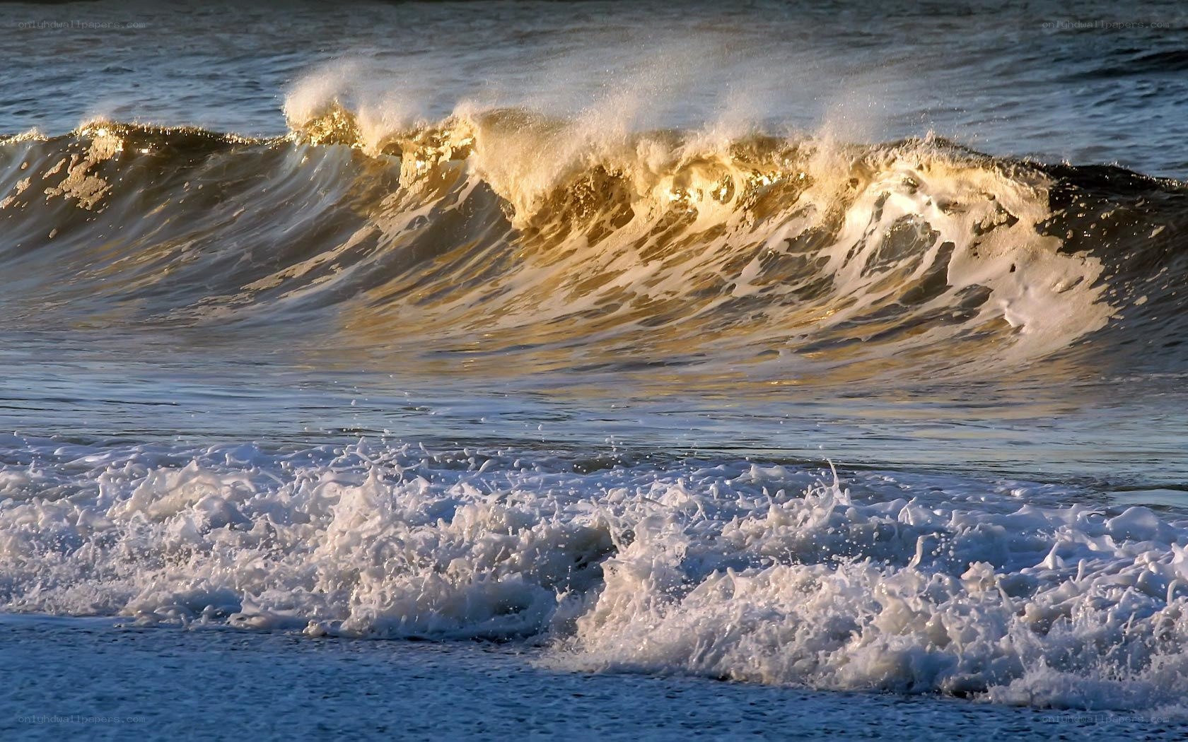 golden wave at sunset