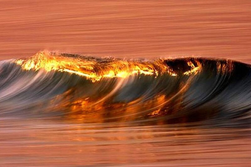 Golden wave at sunset
