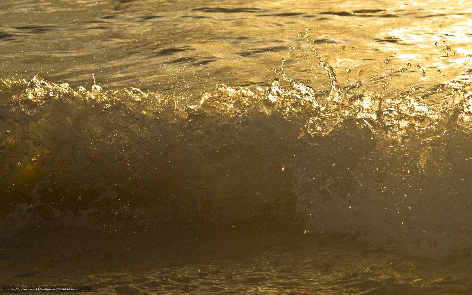 golden wave at sunset