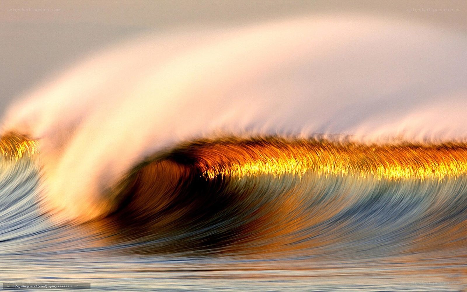 Golden wave at sunset