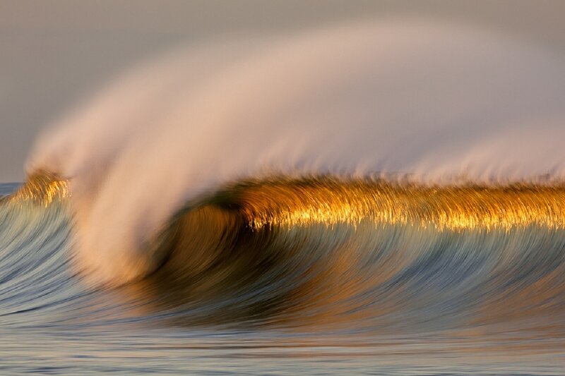 Golden wave at sunset