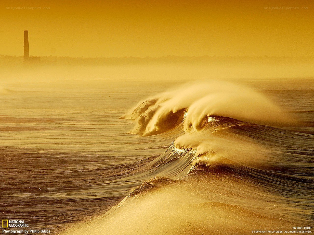 Golden Waves at Dawn